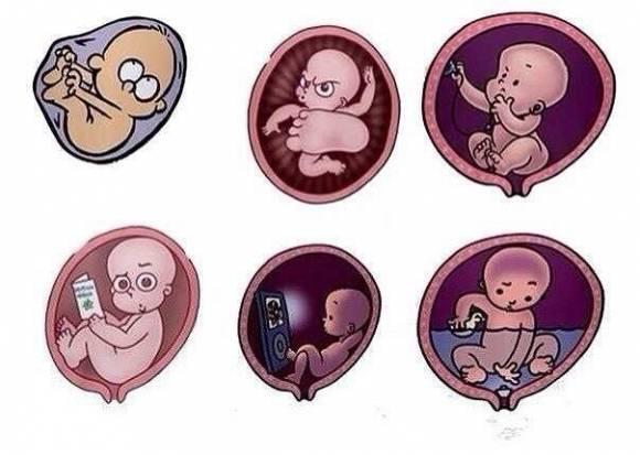 Смешные картинки для беременных