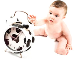 режим ребенка 8-9 месяцев  