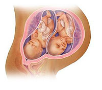 Как запланировать двойню? Советы и рекомендации