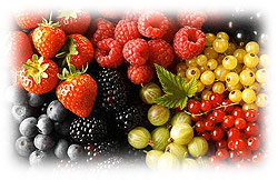 Ягоды в питании ребенка