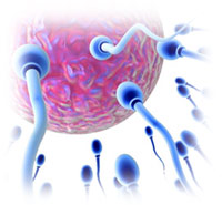 Не получается забеременеть