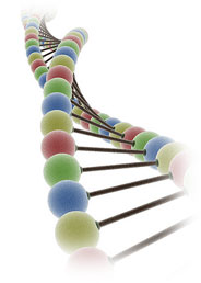 Планирование беременности. Нужно ли посещать генетика?