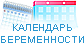 Календарь беременности